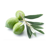 Green Olives - Organic Whole Kg