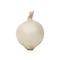 White Onions - Organic