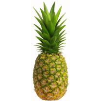 Pineapples (Larger Fruit) - Organic