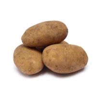 Nicola Potatoes Bulk Box - Organic