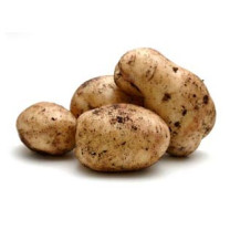 Sebago Potatoes