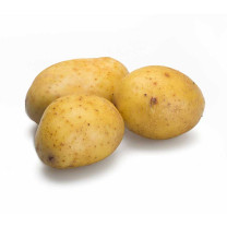Sebago Potatoes Washed - Organic