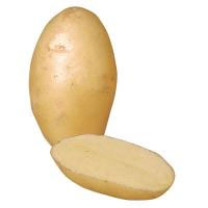 Dutch Cream Potatoes Washed - Organic