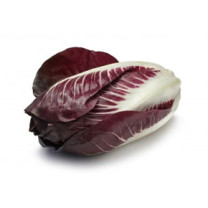 Radicchio - Organic