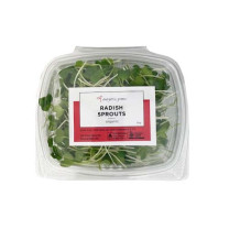 Radish Sprouts - Organic