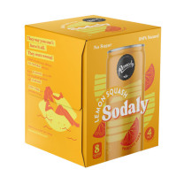 Remedy  Sodaly Lemon Squash