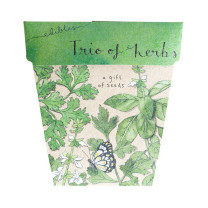 Sow 'n Sow Trio of Herbs Seeds