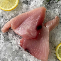 Moofish Tuna Steaks