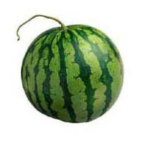 Seeded Watermelon Whole Melon - Special per Kg - Organic