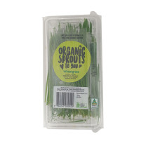Wheatgrass - Organic