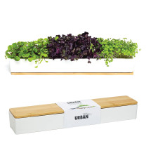 Urban Greens Windowsill Grow Kit - Microgreens