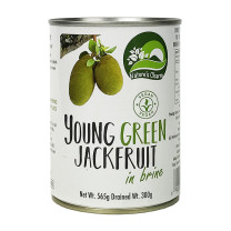 Nature's Charm Young Green Jackfruit in Brine